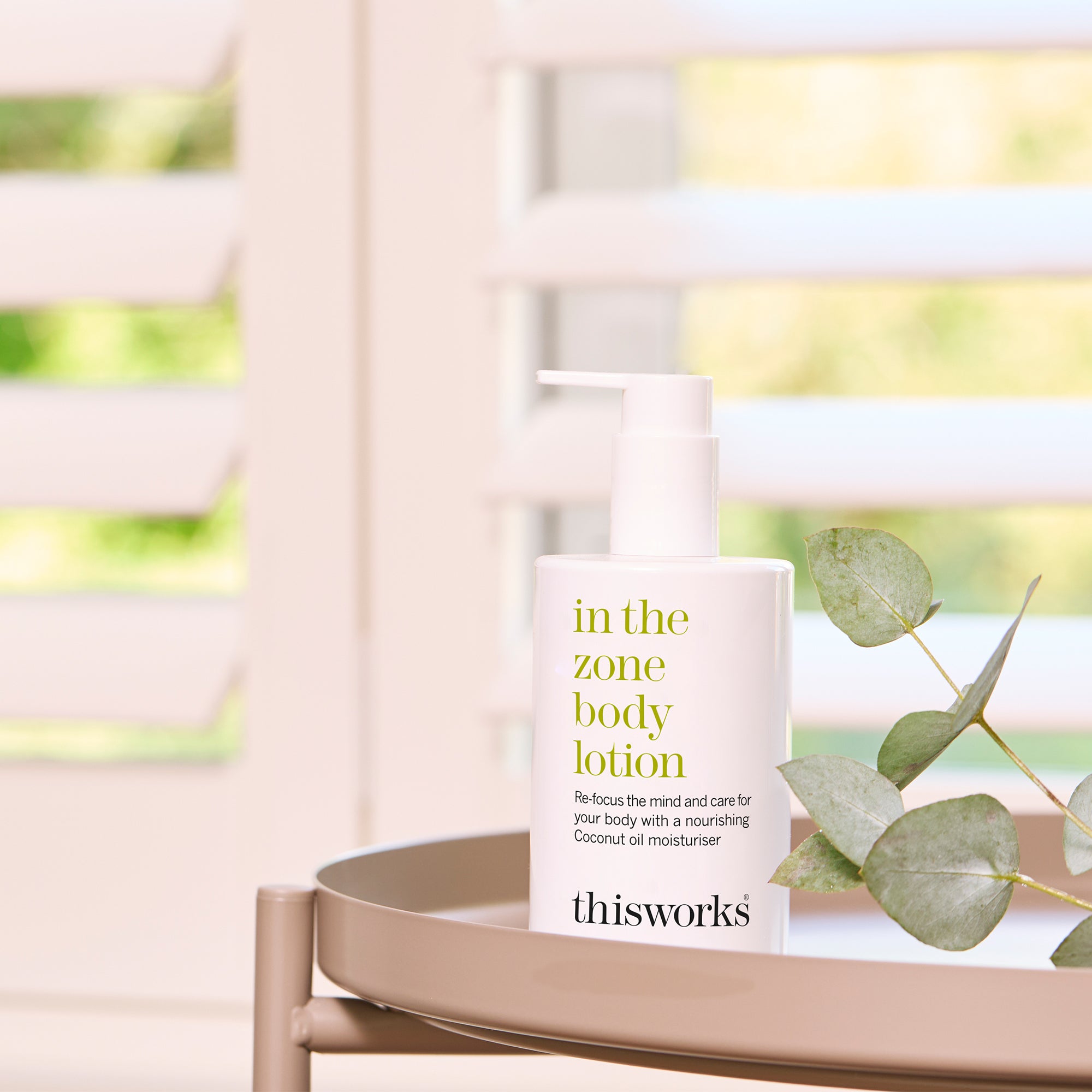 In the zone lifestyle picture