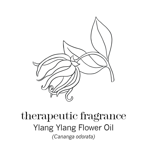 Energy Bank Shower Gel Help Fatigue In The Morning This Works